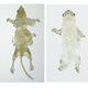 Image for article titled Remarkable New Technique Produces "Nearly Invisible" Mice